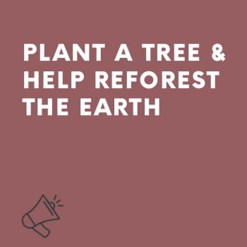 Motivational speech Plant a tree & help reforest the earth