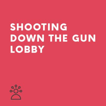 Persuasive Speech Shooting down the gun lobby